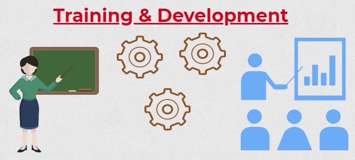 importance of HR in organization